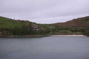 HARINGTON-POINT-DUNEDIN (44)